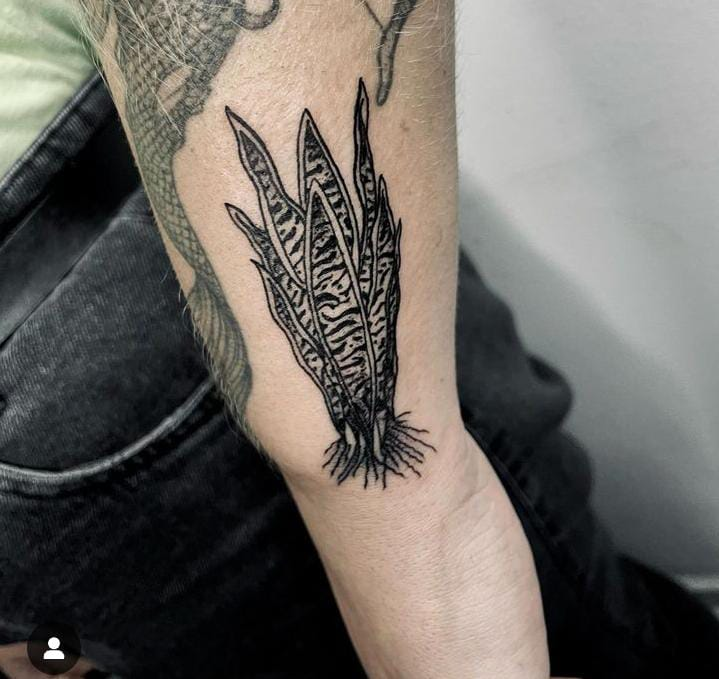 Imagem do tatuador